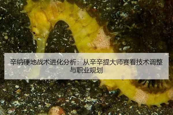 xin-na-ying-di-zhan-shu-jin-hua-fen-xi-cong-xin-xin-ti-da-shi-sai-kan-ji-shu-tiao-zheng-yu-zhi-ye-gui-hua-3-839.jpg